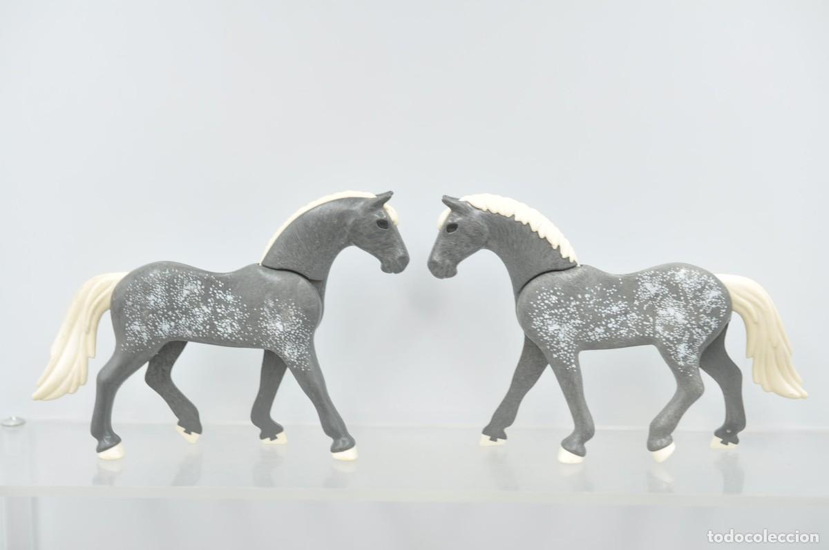 Playmobil: wsk099 Playmobil, 2 caballos