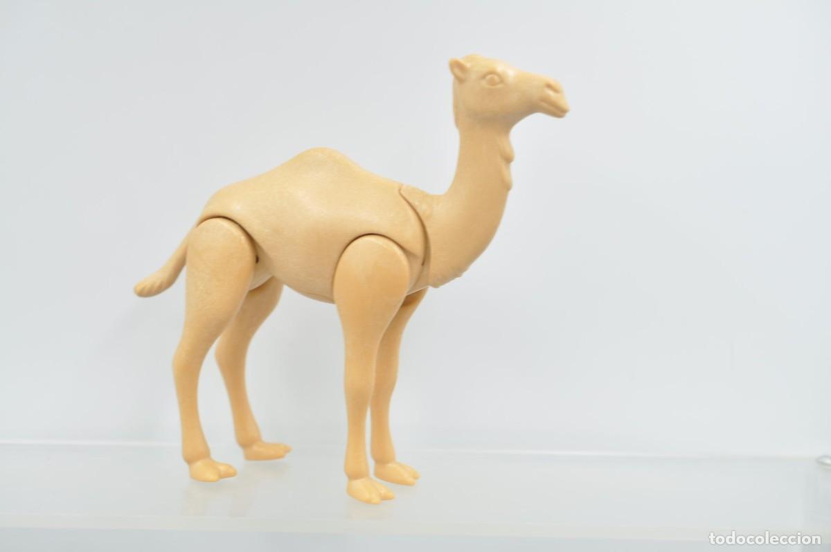 Playmobil: wsk101 Playmobil, camello