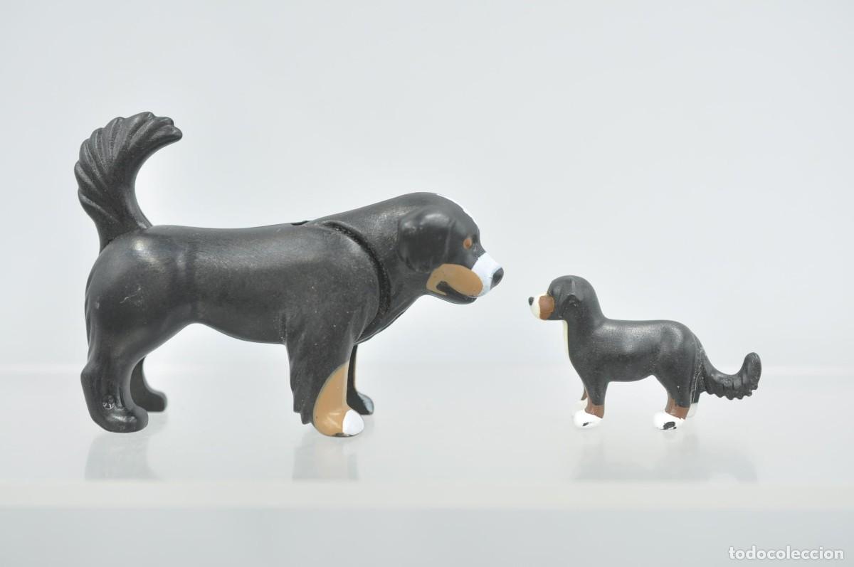 Playmobil: wsk101 Playmobil, 2 perros