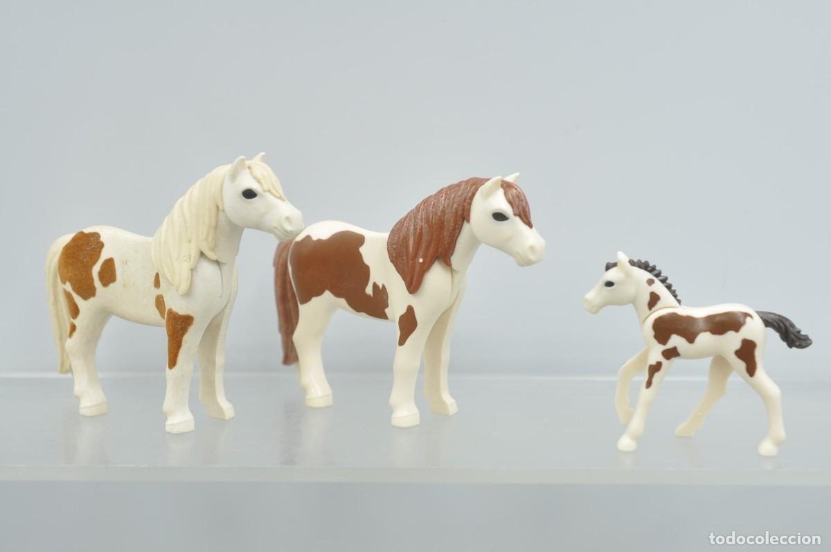 Playmobil: wsk102 Playmobil, 2 ponis y potro
