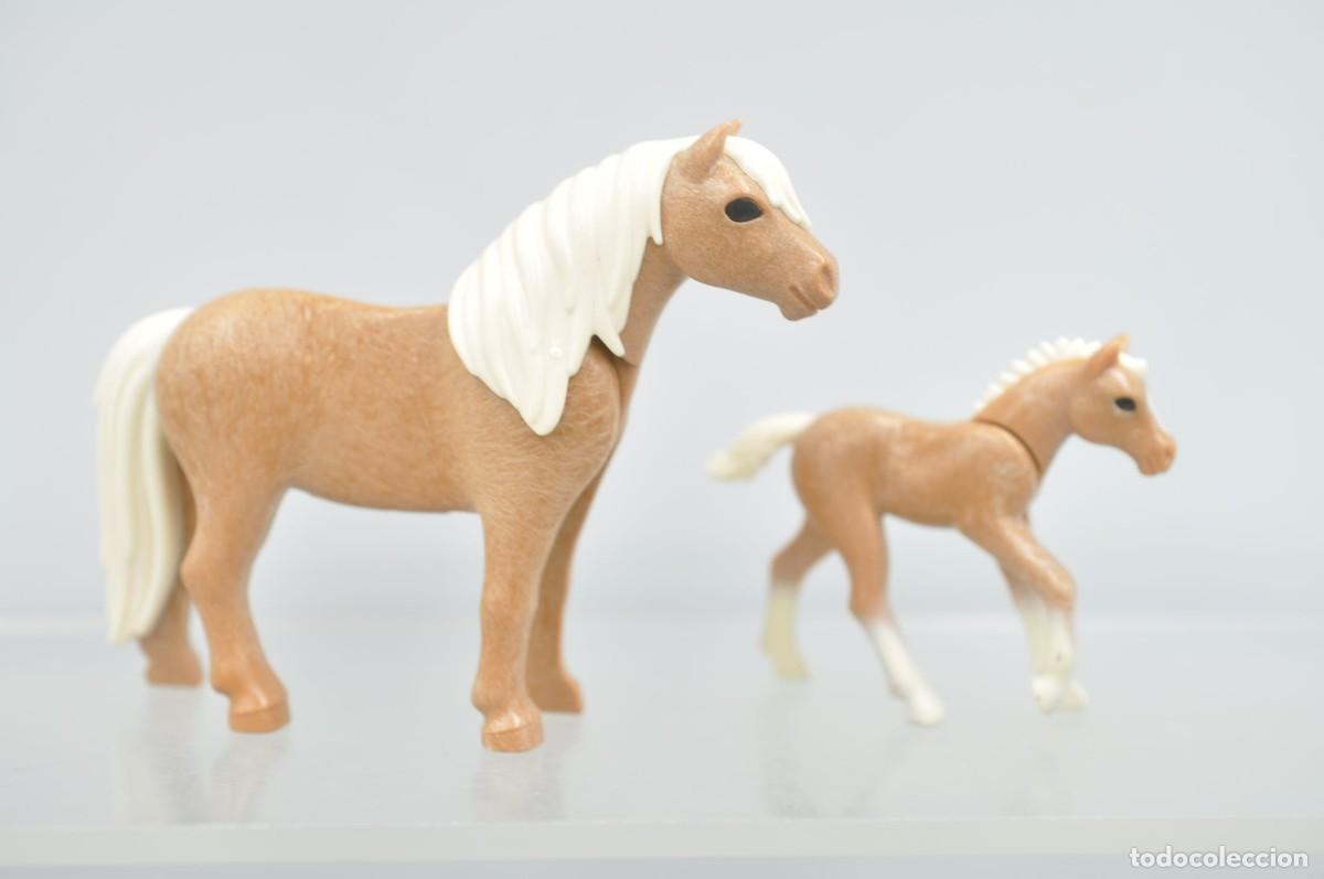 Playmobil: wsk102 Playmobil, poni y potro