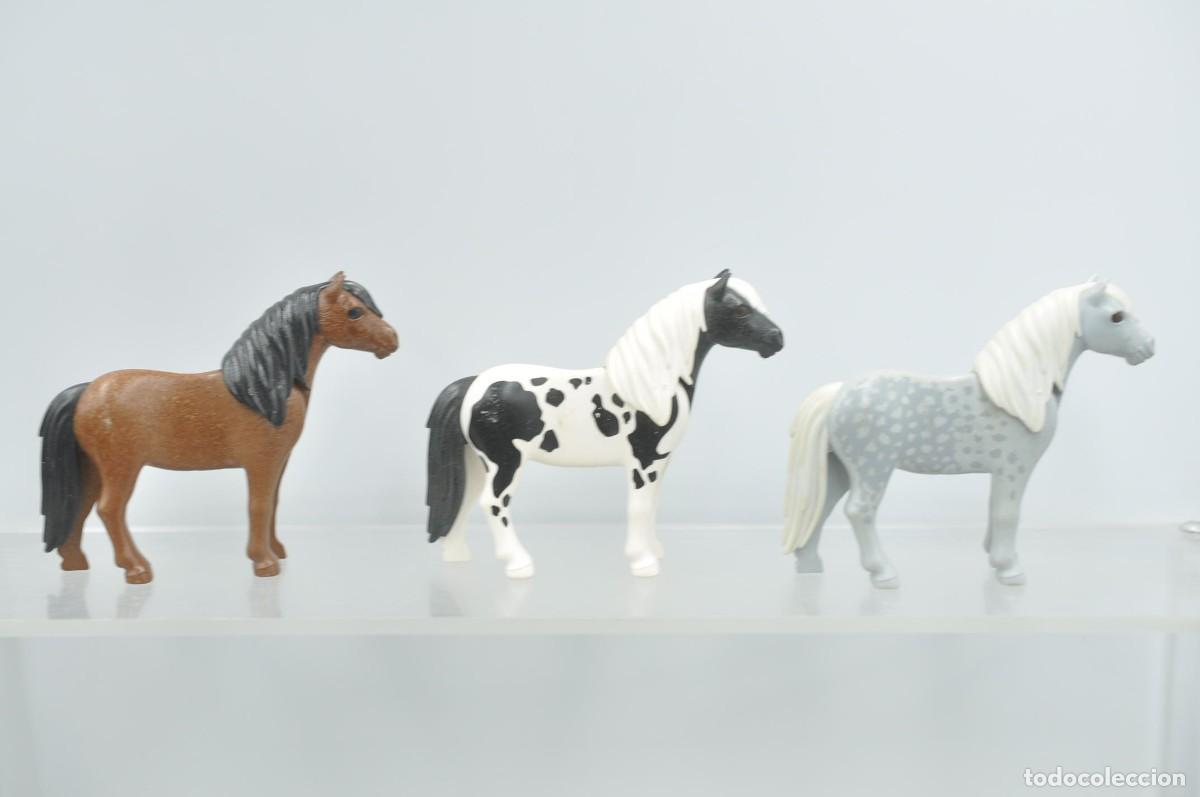 Playmobil: wsk102 Playmobil, 3 ponis