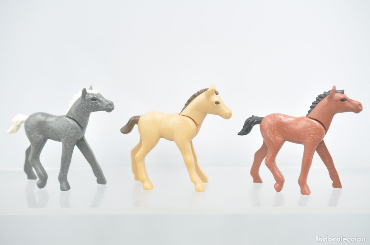 Playmobil: wsk102 Playmobil, 3 potros