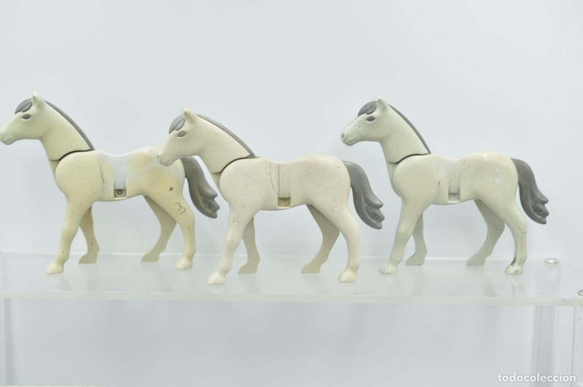 Playmobil: wsk102 Playmobil, 3 caballos