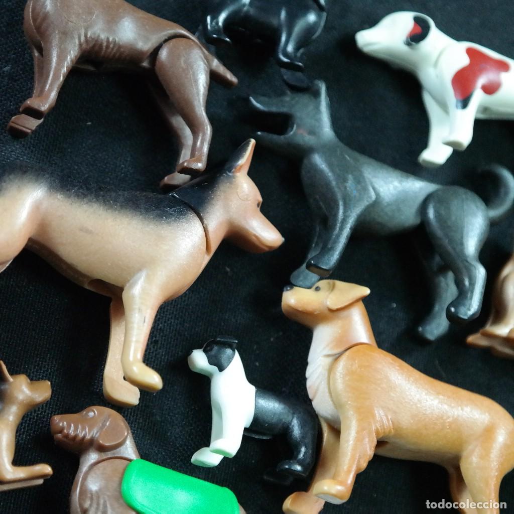 Playmobil: Playmobil perros con cachorros ☼ - Foto 2