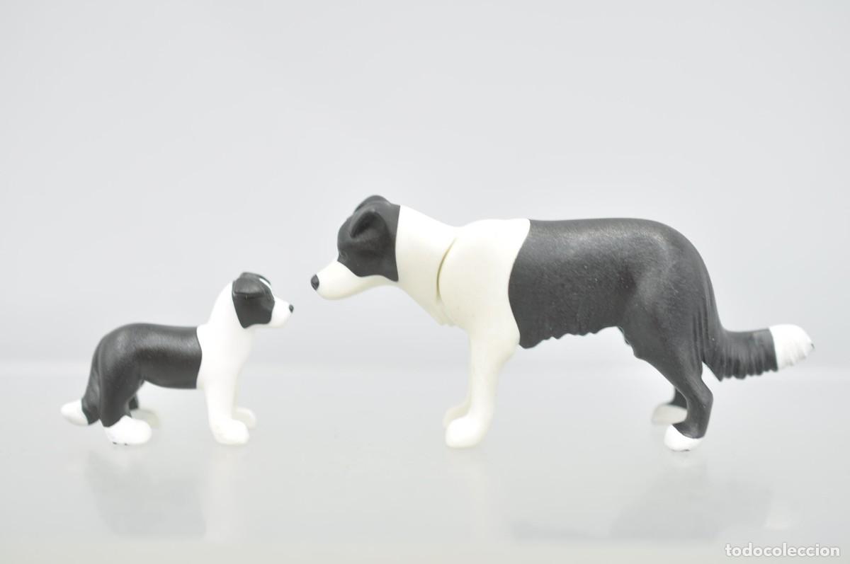 Playmobil: WSK106 Playmobil, 2 border collie perros