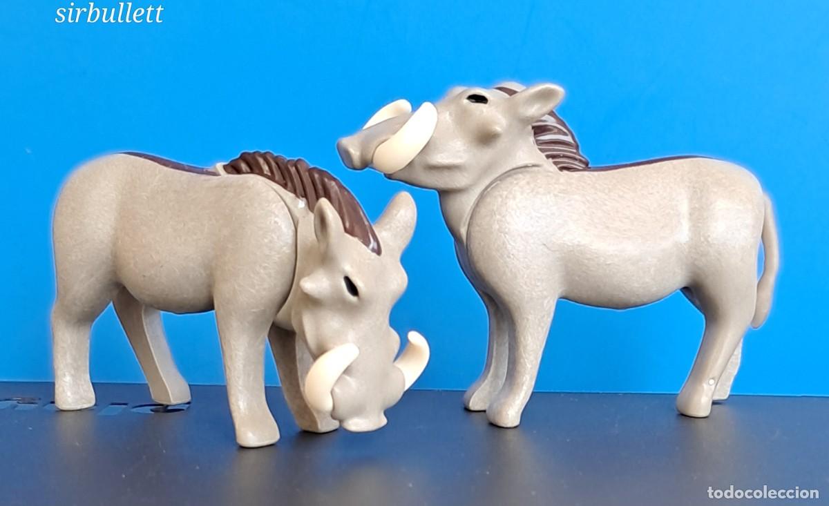 Playmobil: Fac&oacute;queros. Jabal&iacute; verrugoso. Playmobil. Animales africanos. Sabana