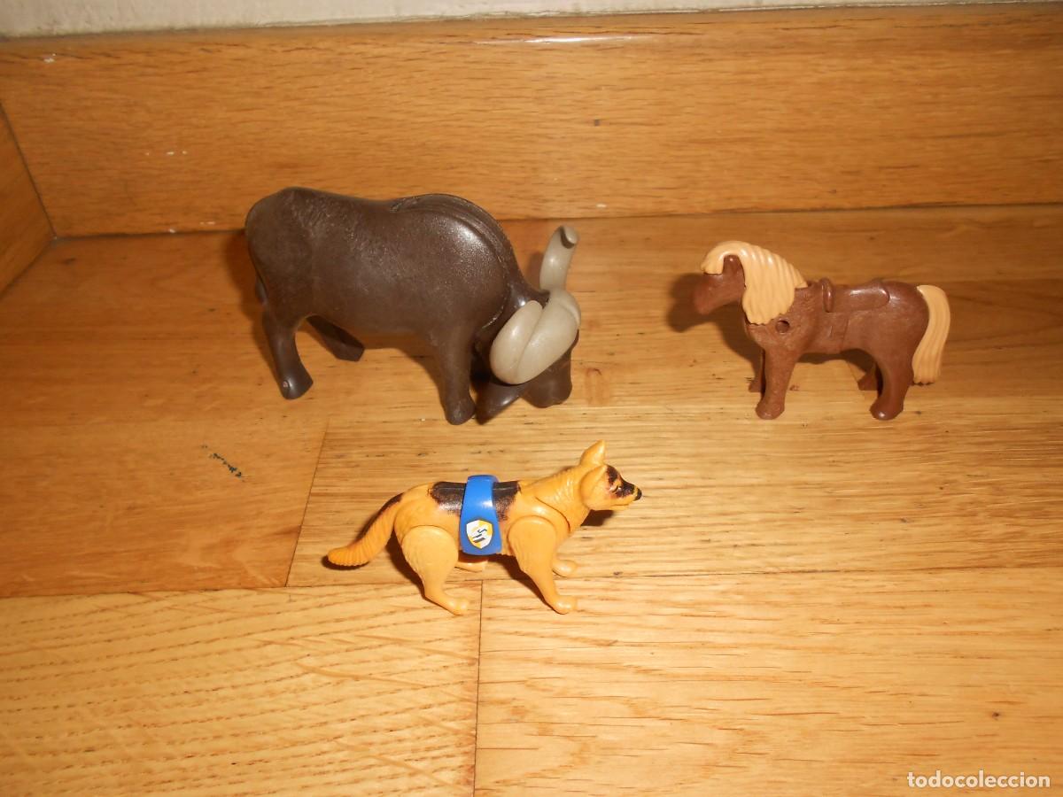 Playmobil: LOTE 3 ANIMALES de PLAYMOBIL ( Bufalo / Pony / Perro Policia ) - DISPONGO de mas PLAYMOBILS