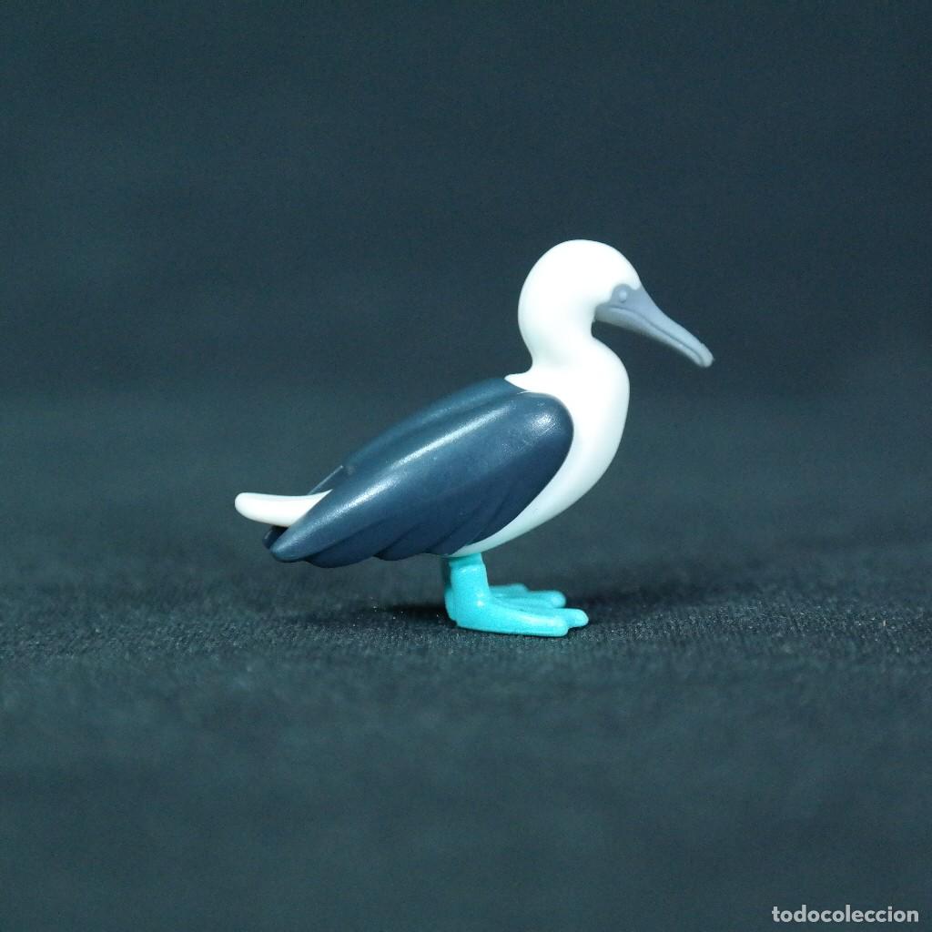 Playmobil: Playmobil pajaro bobo de patas azules ☼