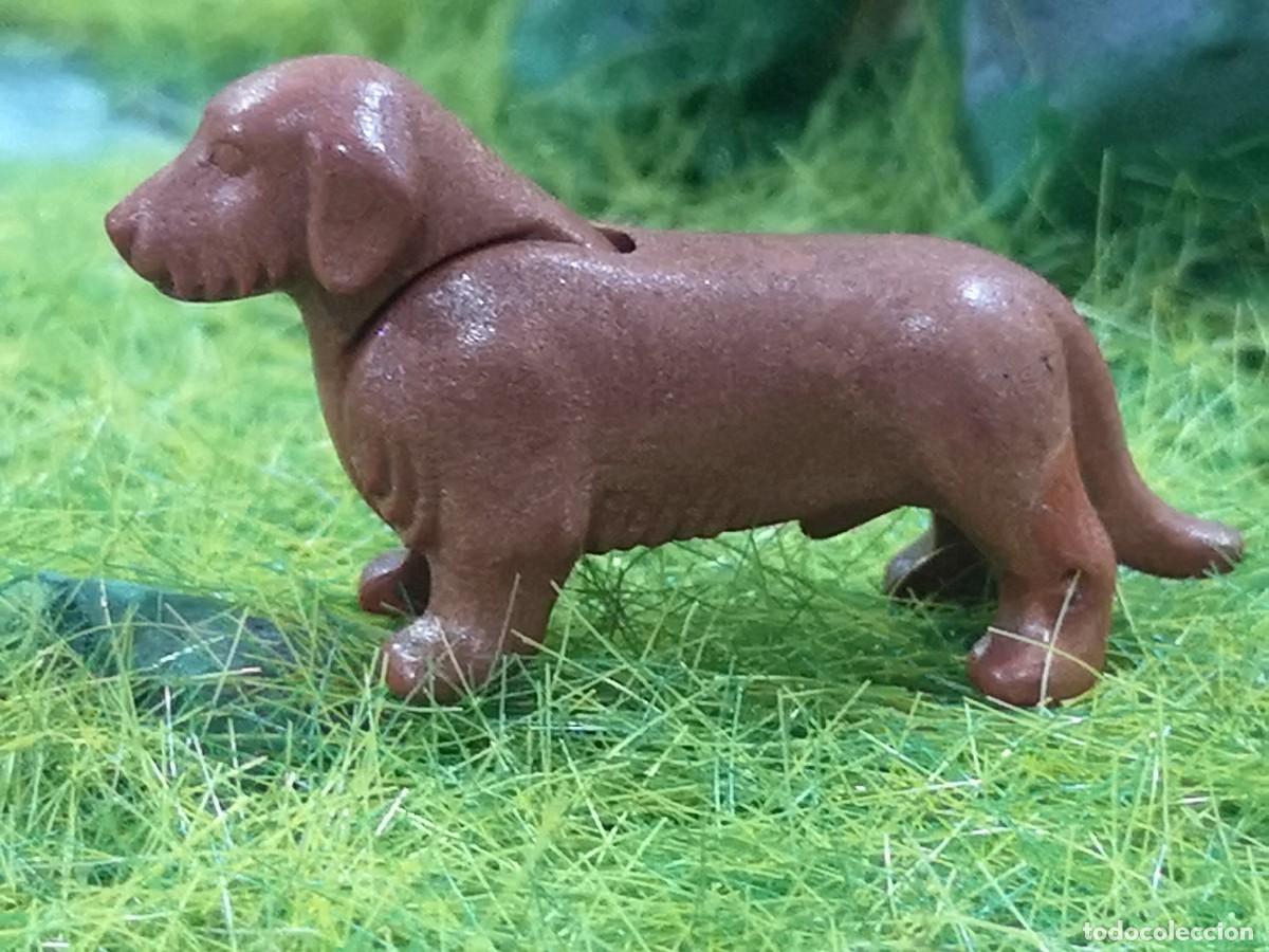 Playmobil: Playmobil teckel perro salchicha animales ciudad city Ram