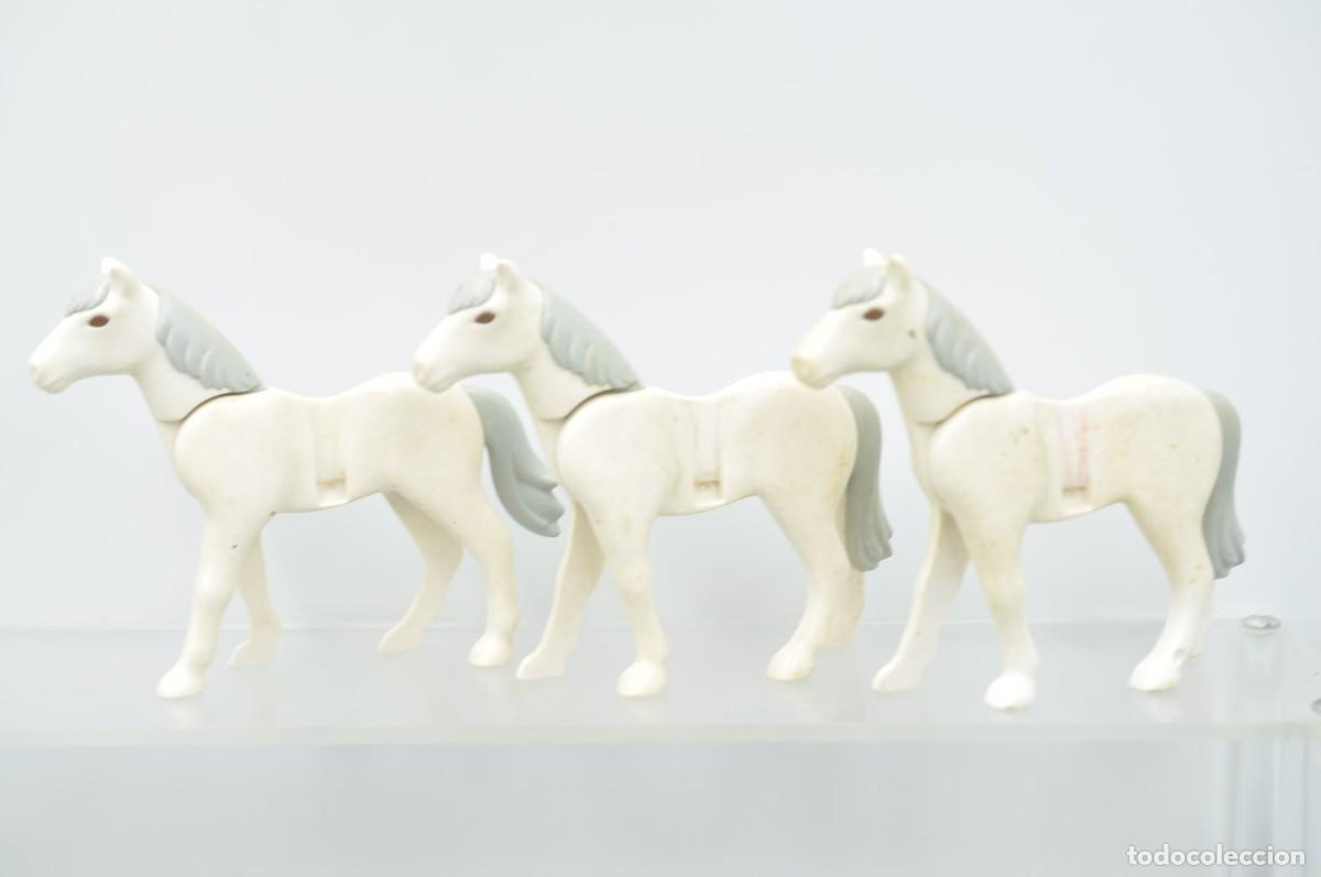 Playmobil: WSK109 Playmobil, 3 caballos