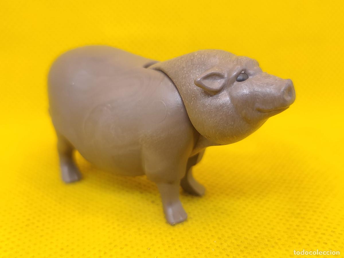 Playmobil: Playmobil Cerdo vietnamita
