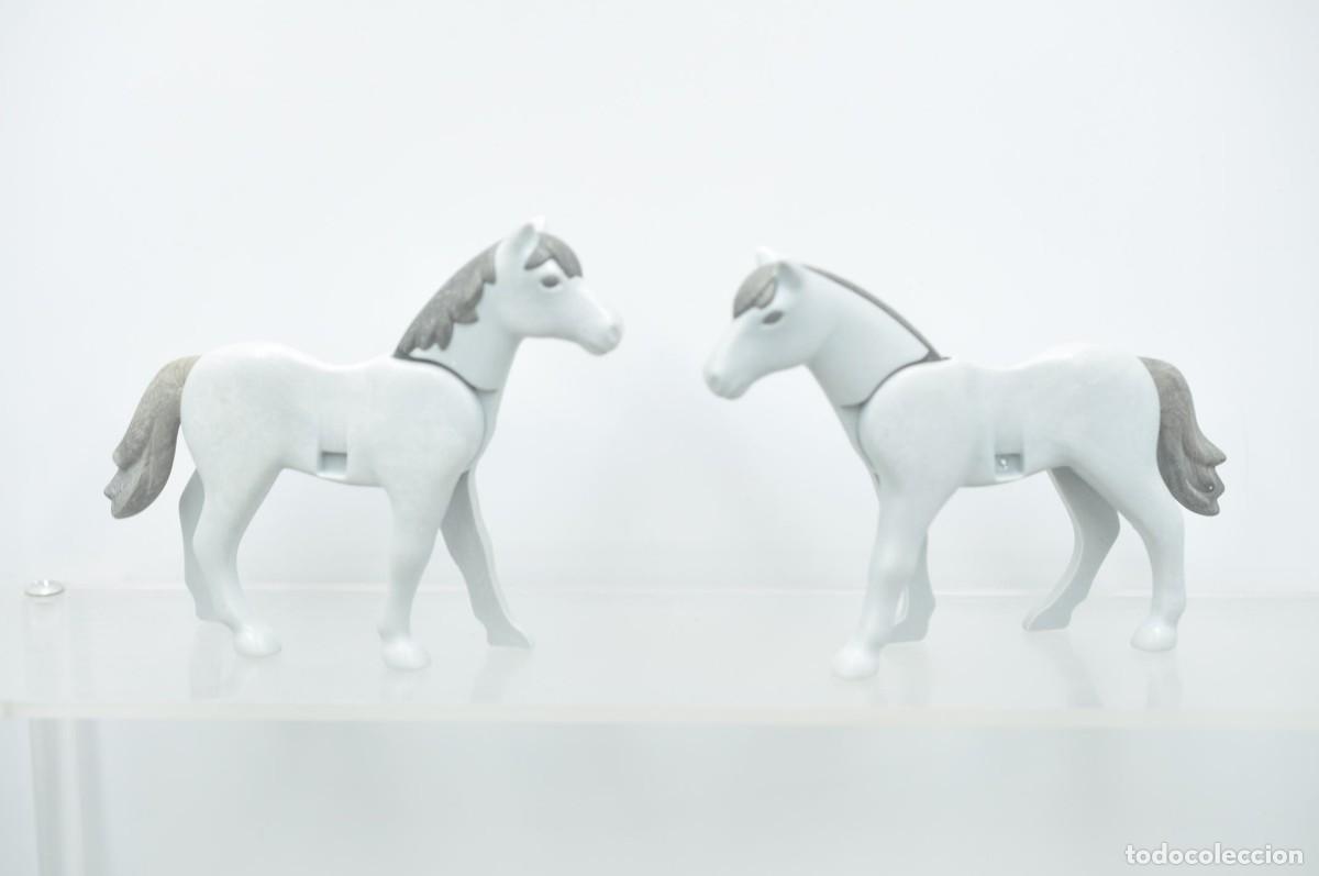 Playmobil: WSK110 Playmobil, 2 caballos