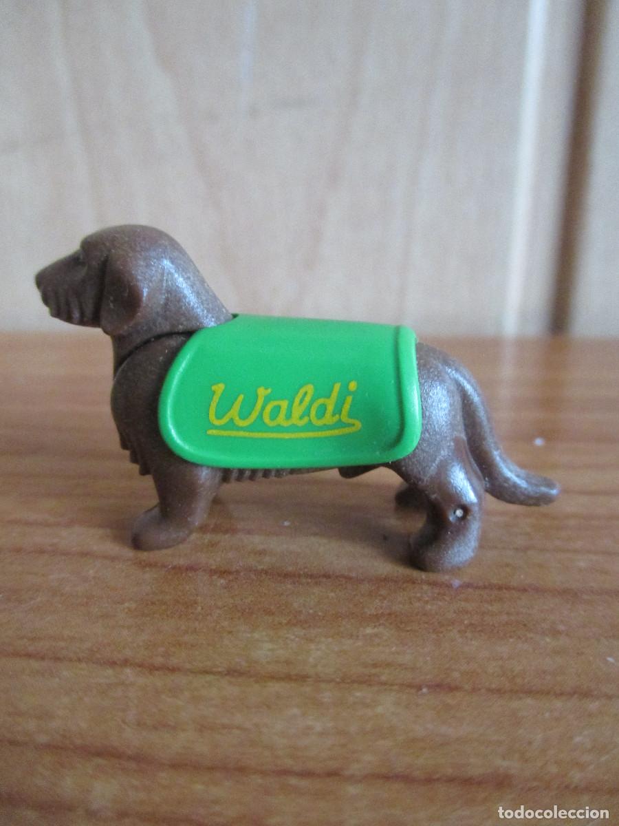Playmobil: PLAYMOBIL : 1 FIGURA PERRO TECKEL CON MANTA DE NOMBRE WALDI