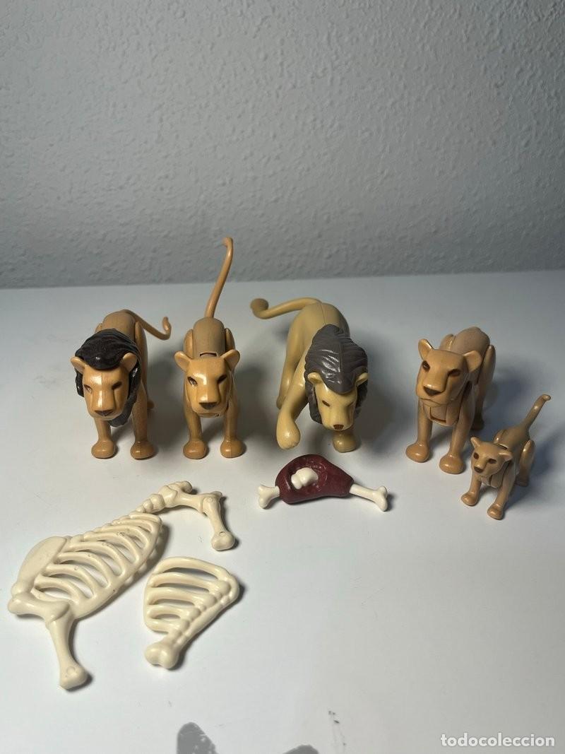 Playmobil: Playmobil familia de leones con cachorros y esqueleto, safari