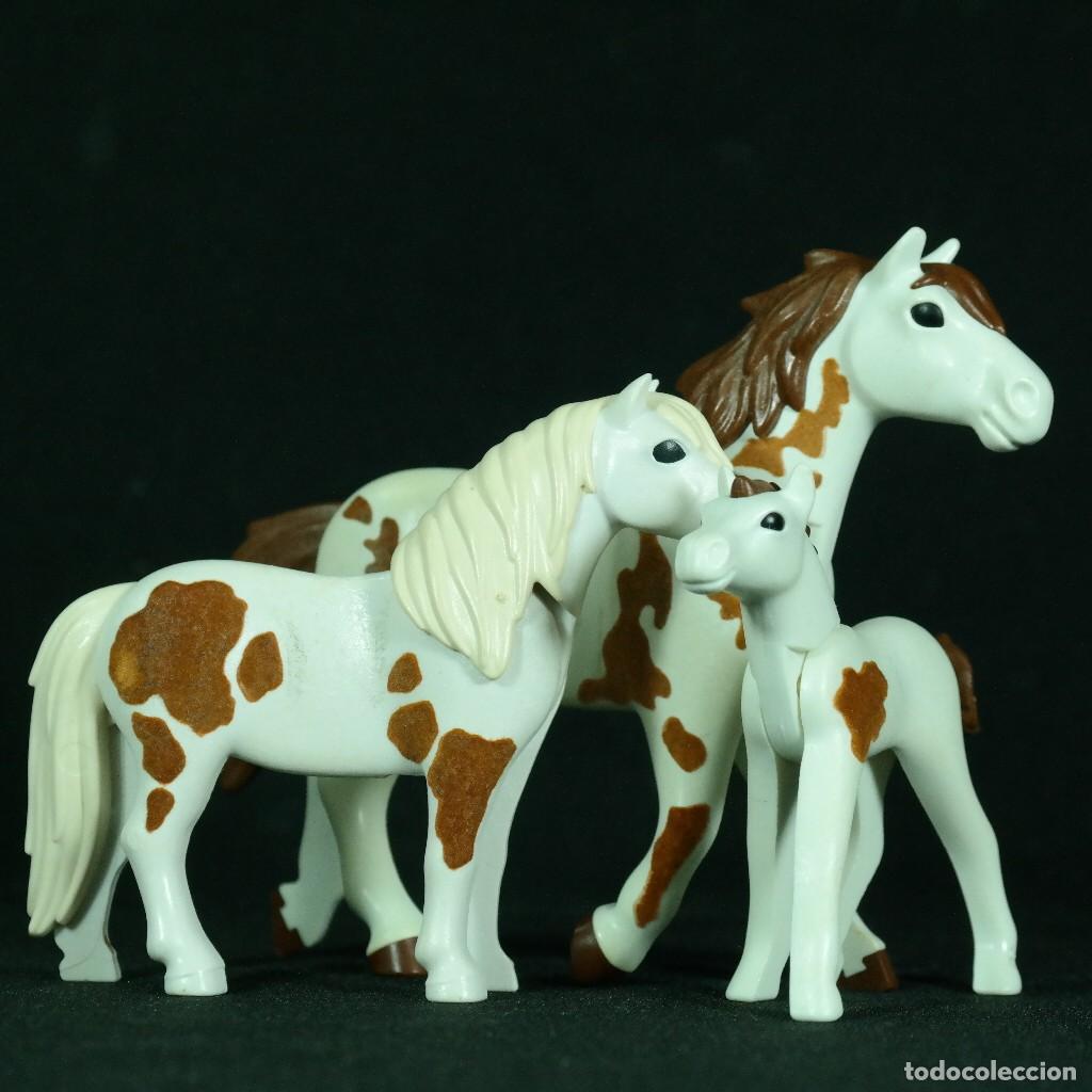 Playmobil: Playmobil tres caballos ☼ - Foto 2