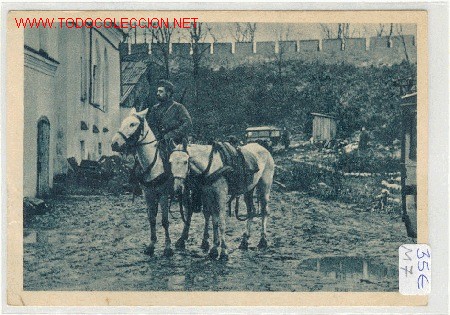 Postales: POSTAL DIVISION AZUL - Foto 1