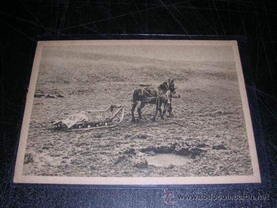 Postales: POSTAL DIVISION AZUL - HERAUSGEBER. PROPAGANDA - Foto 1
