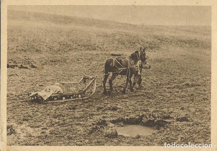 Postales: Conjunto de 5 postales originales de la Divisi&oacute;n Azul (sin circular) - Foto 5