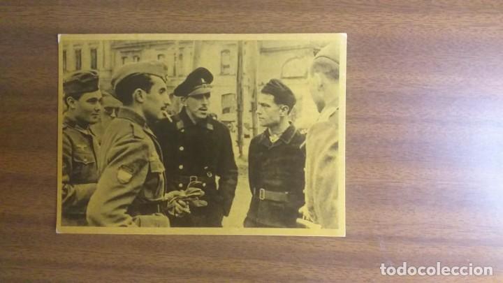 Postales: Cuadros de la Divisi&oacute;n Azul - Foto 21