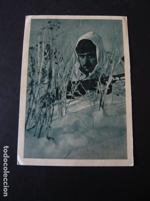 Postales: DIVISION AZUL TARJETA POSTAL ORIGINAL - Foto 1