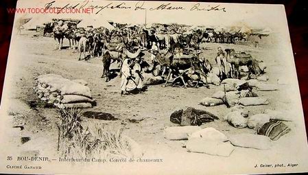 Cartes Postales: ANTIGUA POSTAL DE INTERIOR DEL CAMPAMENTO, CONVOY DE CAMEL - CAMPA&Ntilde;A DE FRANCIA EN MARRUECOS A&Ntilde;OS 20