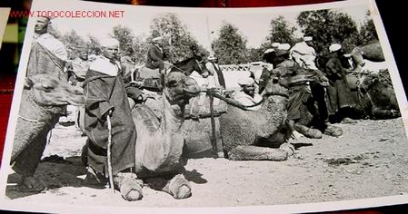 Postais: ANTIGUA POSTAL DE MARRUECOS - GRUPO DE CAMELLOS Y CAMELLEROS