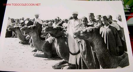 Postais: ANTIGUA POSTAL DE MARRUECOS - GRUPO DE CAMELLEROS