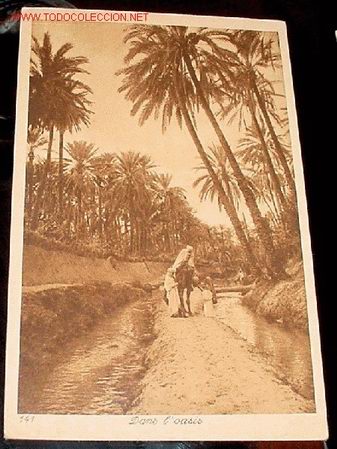 Cartes Postales: ANTIGUA  POSTAL  DE MARRUECOS - EN EL OASIS - L & L