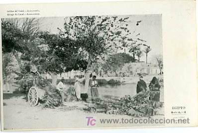 Postcards: EGIPTO, ORILLAS DEL CANAL, ALEJANDRIA,                                P13751