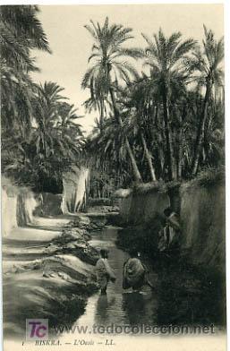 Postales: ARGELIA,  BISKRA,  MARRUECOS, L&acute;OASIS,                   P14337 - Foto 1