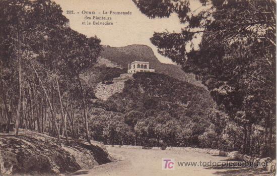 Postkarten: ORAN (ARGELIA) - LA PROMENADE DES PLANTEURS ET LE BELVEDERE. COLECTION IDEAL P.S. N&ordm; 202