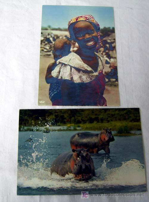 Postais: 2 postales color Mujer africana con ni&ntilde;o e Hipop&oacute;tamo a&ntilde;os 70