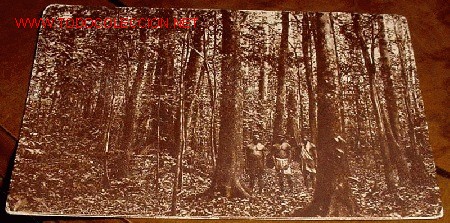 Cartes Postales: ANTIGUA POSTAL DE GUINEA ECUATORIAL ESPA&Ntilde;OLA - BOSQUE PROPIEDAD DE SOCOGUI - PABELLLON COLONIAL EN L