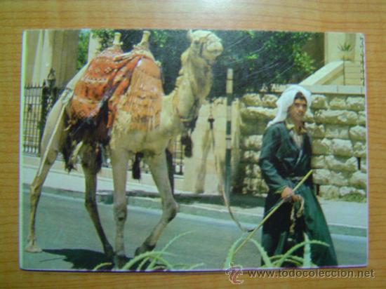 Postcards: POSTAL JERUSALEM  OLD CITY ATREET SCENE SIN CIRCULAR