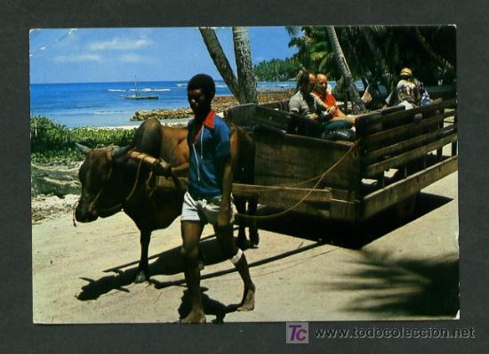 Postales: Seychelles. La Digue. *Ox Cart*  Nueva - Foto 1