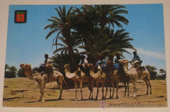 Postales: ANTIGUA FOTO POSTAL DE MARRUECOS TIPICO - N. 49 - CARAVANA DE MEHARISTAS DE M&acute;HAMID - ED. ESCUDO DE