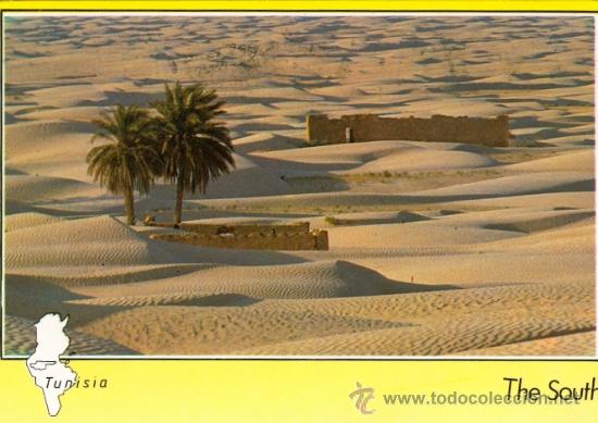 Postales: TUNEZ - LA MAR DE SABLE (Circulada 1992) - Foto 1