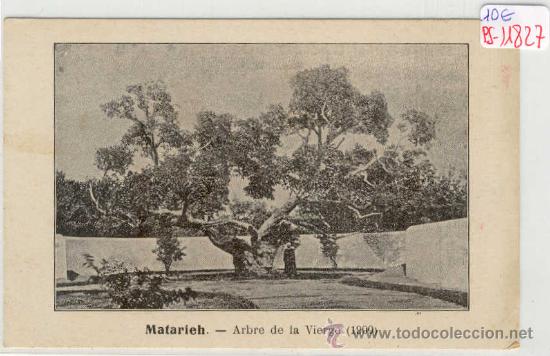 Postkarten: (PS-11827)POSTAL DE MATARIECH-ABRE DE LA VIERGE(1900)