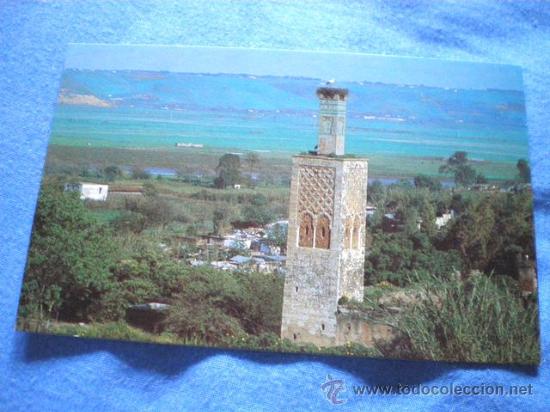 Postales: POSTAL RABAT RUINAS DE CHELLAH NO CIRCULADA - Foto 1