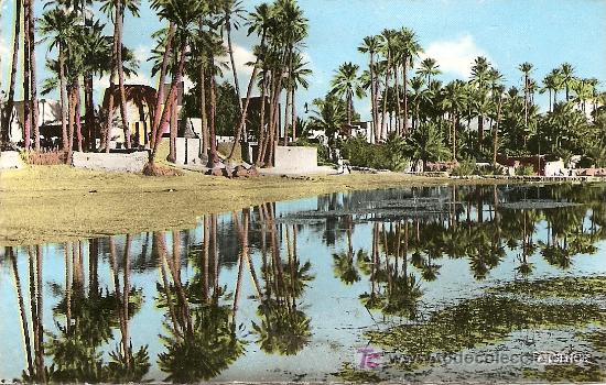Cartoline: BECHAR - LA PALMERAIE (1966)