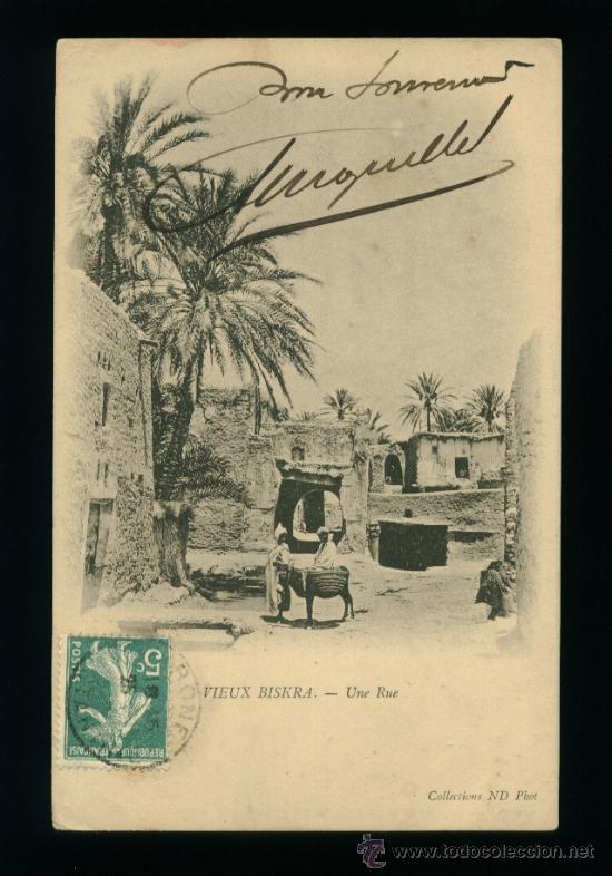 Postales: Argelia - Biskra - Une Rue - Circulada - Foto 1