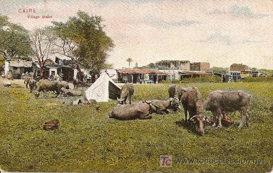 Postales: CAIRE - VILLAGE ARABE - Foto 1