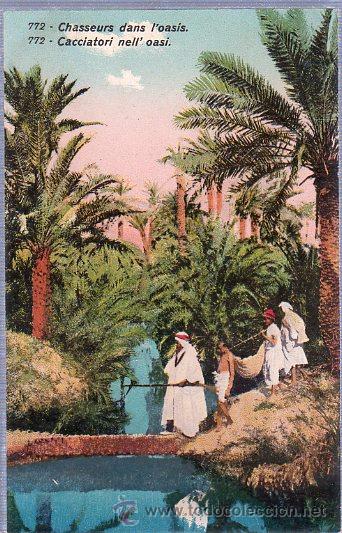 Postcards: TARJETA POSTAL DE MARRUECOS. CHASSEURS DANS L&acute;OASIS. N&ordm;772.