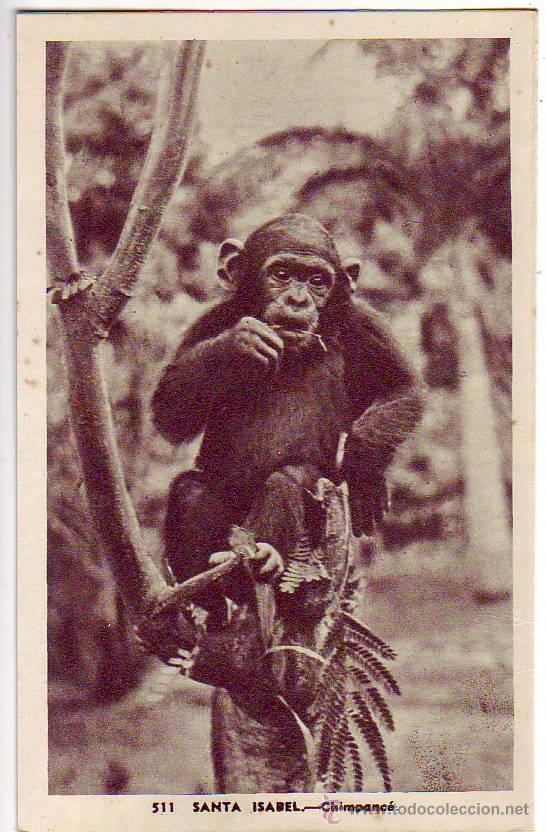 Postais: 511 - santa isabel - chimpace - heliotipia artistica espa&ntilde;ola - foto h. garcia