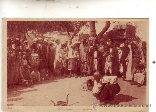 Cartes Postales: charmeur de serpeni - ed. l & l