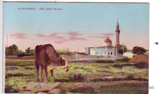 Cartes Postales: alexandria - sidi gaber mosque - l.c. 79