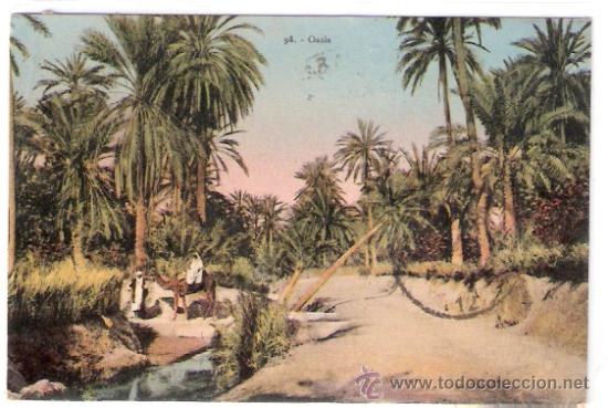 Postcards: TARJETA POSTAL. TUNEZ. OASIS. N&ordm; 98. REPRODUCTION INTERDITE.