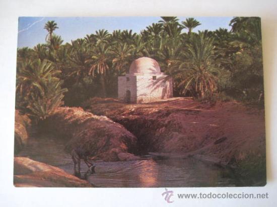 Postales: TOZEUR. TUNEZ. ENVIO GRATIS&iexcl;&iexcl;&iexcl; - Foto 1