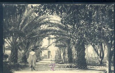 Postkarten: POSTAL DE MARRUECOS CASABLANCA N&ordm; 13 LE JARDIN DE LA SUBDIVISION    P-AFyMA-304